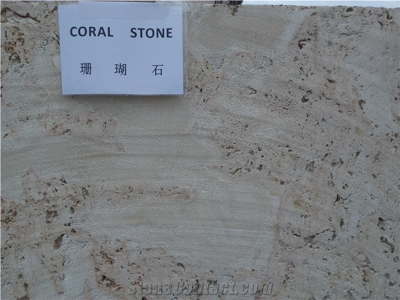 Coralina Beige Coral Stone Blocks