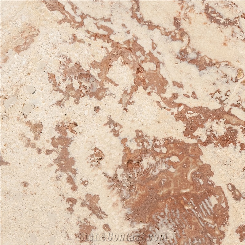 Golden Coral Stone Tiles, Sunny Coral Stone