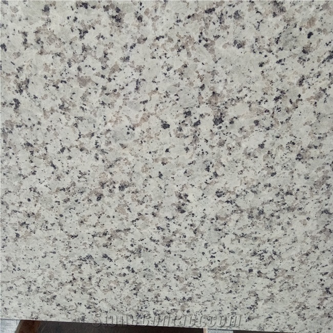 China Bala White Granite Countertop Slabs Price