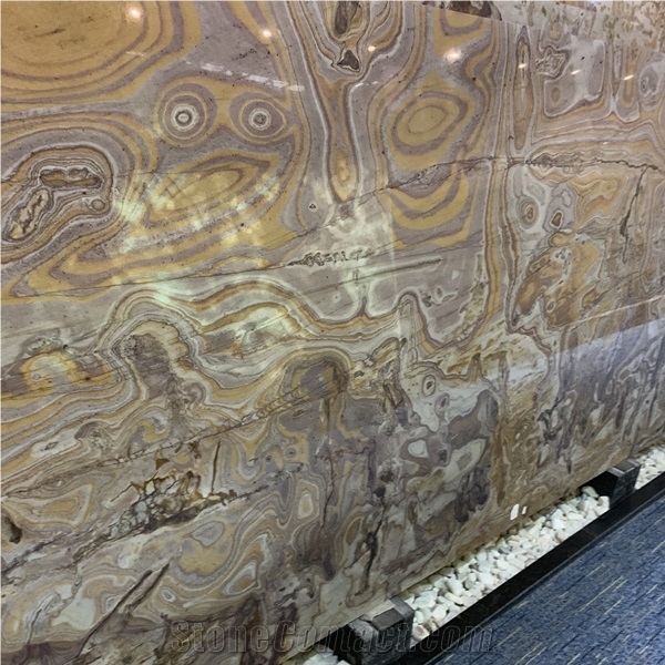 Natural Picasso Gold Quartzite Background Slab
