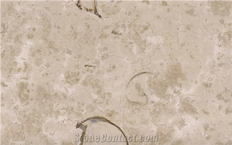 Valtura Statuario Limestone Slabs, Tiles