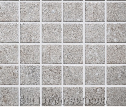 Terrazzo Mosaic Art Design for Bathroom Floor