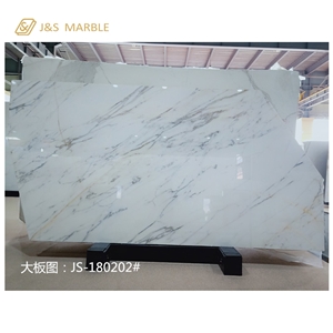 Best Colors Honed Calacatta Gold Marble