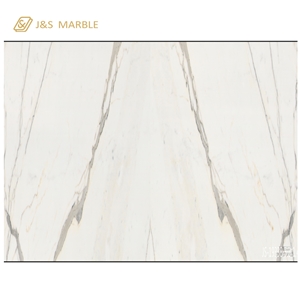 Best Price Natural Statuario White Marble