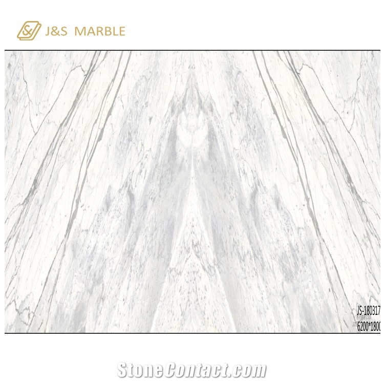 Cheap Absolute Statuario White Marble