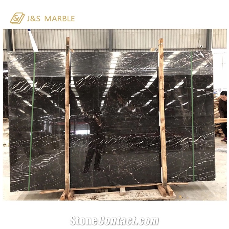 Decorative Saint Laurent Marble for Wall
