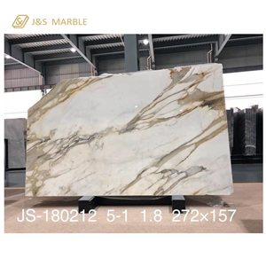 Polished Calacatta Gold Marble for Floor