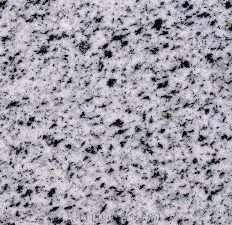 Bianco Halayeb Granite Slabs,Tiles