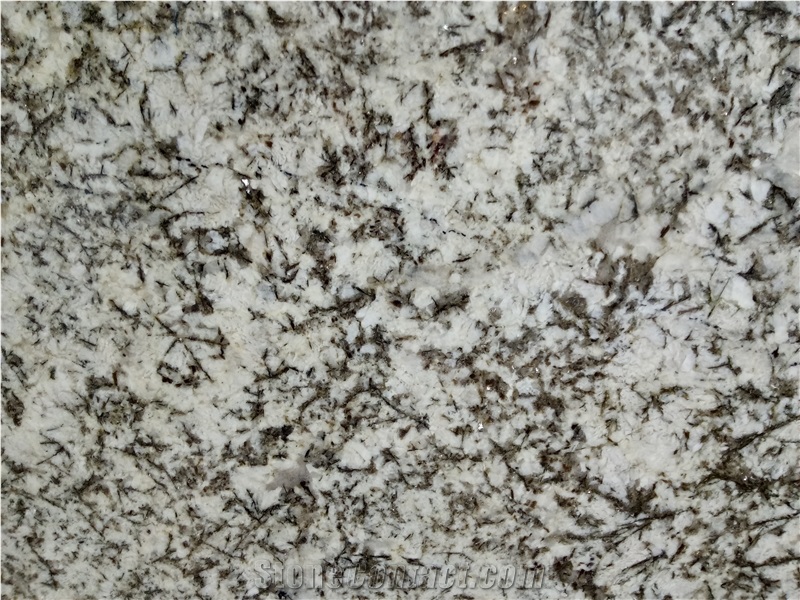 Antico Bianco Granite Slabs