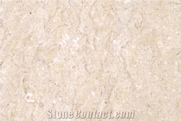 French Gold Flower Marble Slabs