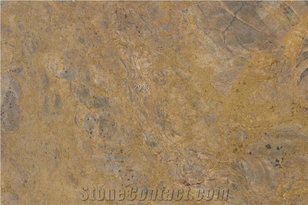 Lion Gold Granite Slabs