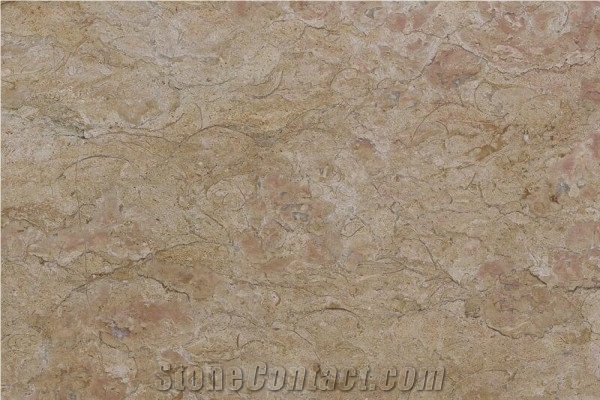 Macular Stone Granite Slabs