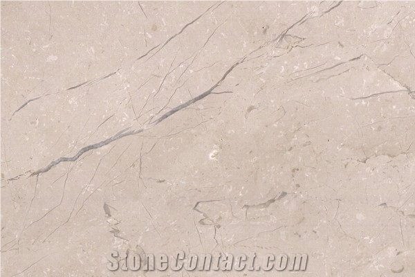 New Central Europe Marble Slabs