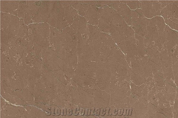 New Olive Marone Marble Slabs
