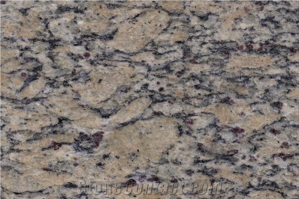 Yellow Butterfly Granite Slabs