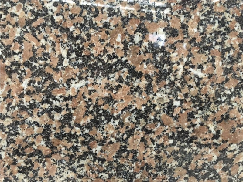 Good Price New Pearl Red Granite for Selling