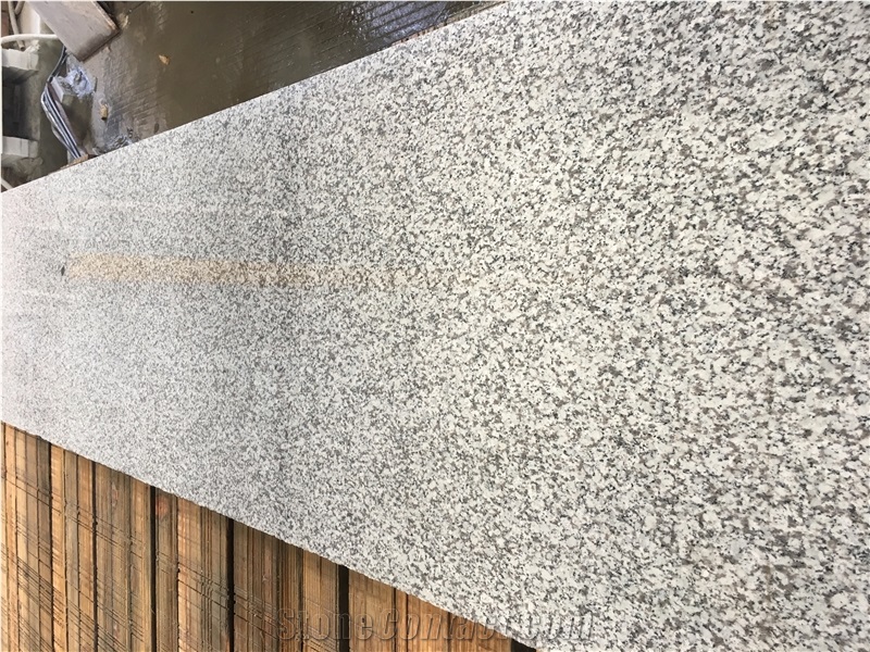 Grey Granite Slab G439 Granite Tile New G439