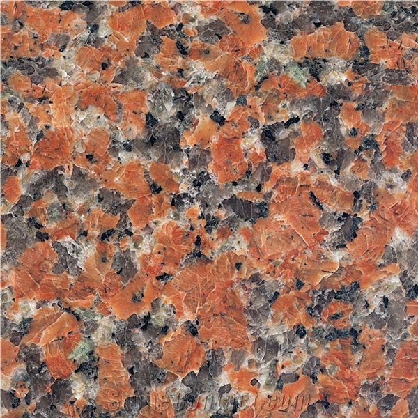 G562 Granite Slab & Tile, China Maple Red Granite