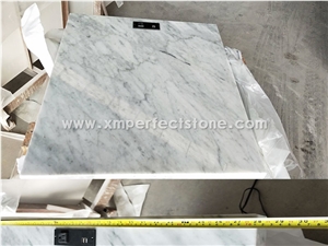 Natural White Marble Round Countertops