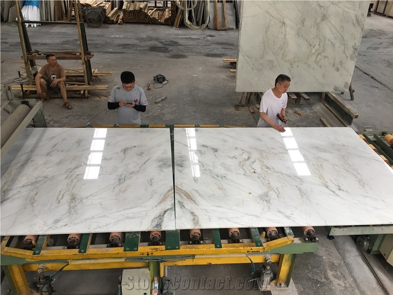 Venus Vox Marble Chinese White Marble for Wall