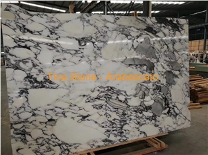 Arabescato White Marble Tiles Wall Floor Building