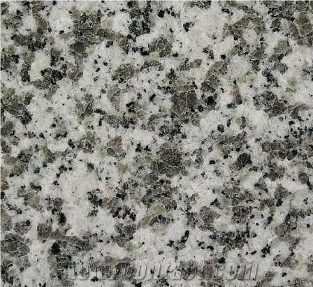 Big White Flower Granite Tiles Slabs Granite
