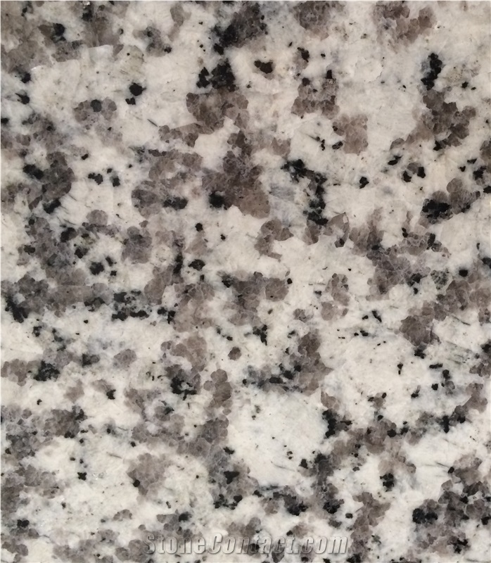 China Grey G439 Granite Tiles Slabs with Flamed