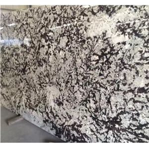 Frost Flower Granite Tiles Slabs Wall Covering
