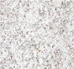 Pearl White Granite Granite Wall Covering Porphyry