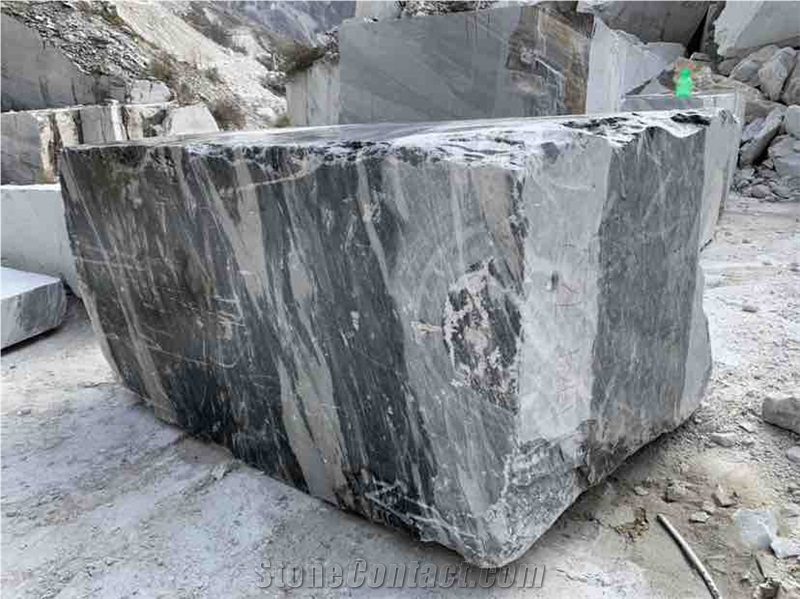 Bardiglio Nero Di Carrara Marble Block