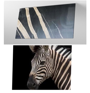 Zebra Black Granite Slabs