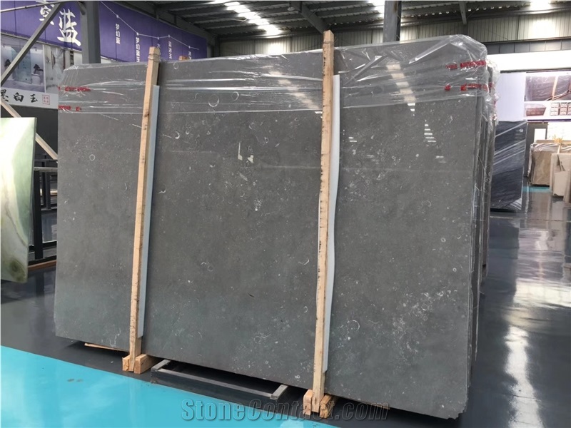 Grey Shell Marble Natural Stone Tiles Slab for Wall