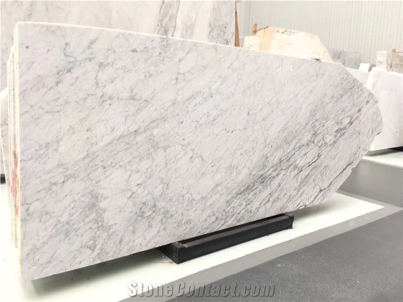 Marmo Blanc De Carrare Bianco Carrara White Marble