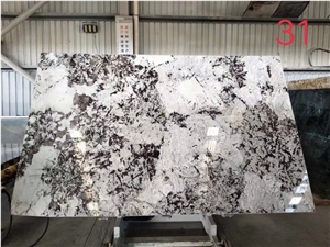 Splendour Gold Granite Slab Wall Tile in China