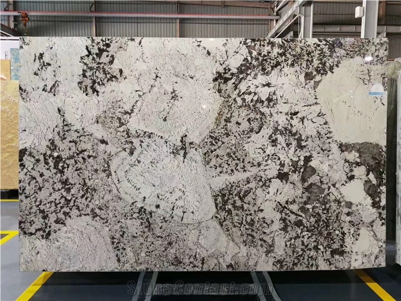Splendour Gold Granite Slab Wall Tile in China