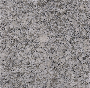 Xiamen G603 Granite,Light Grey Granite Slabs/Tiles