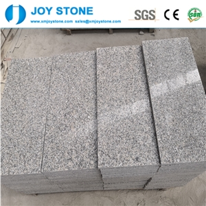 China New Bianco Sardo G602 Granite Wall Tiles