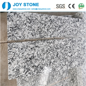 China Xinyi Spindrift Spray White Granite Stair