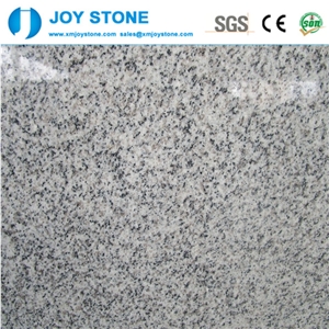Factory Price&Good Quality Grey Granite Floor&Wall