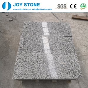 Hubei G602 China Bianco Sardo Granite Wall Tiles
