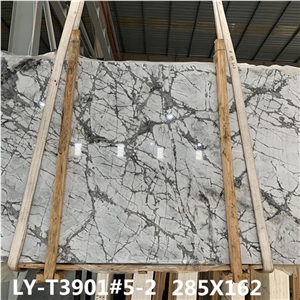 Invisible Grey Marble Natural Marble with Veins