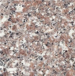 Polished G617 Granite Tiles/Slabs with Best Price
