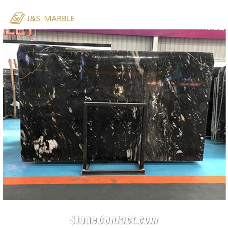 Black Galaxy Marble for Living Room Furniture