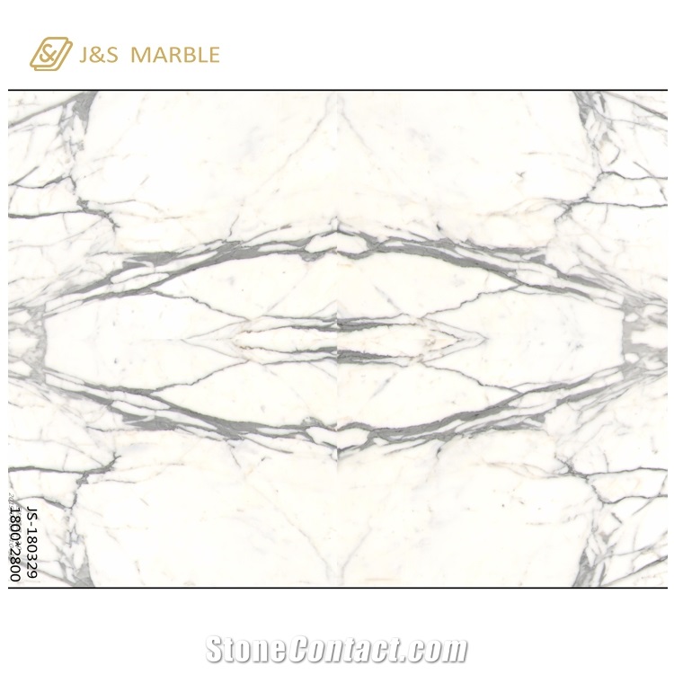 Cheap Popular Statuario Carrara Marble