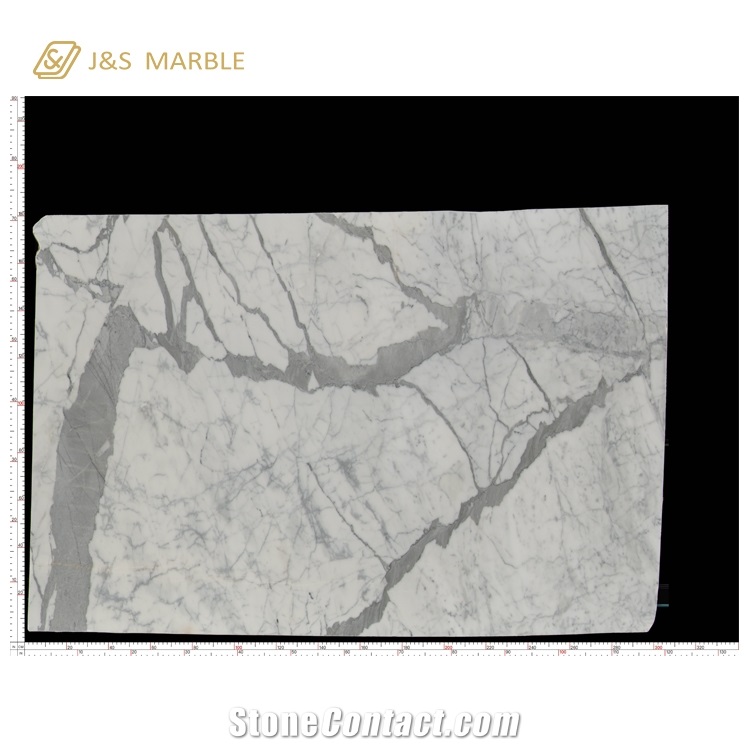 Statuario Carrara Marble for Slabs Tiles