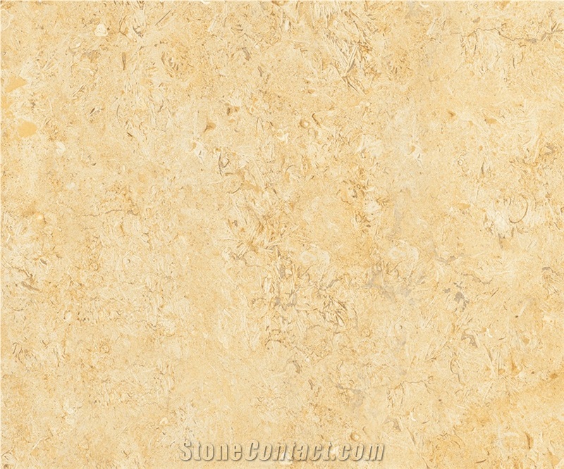 Seabed Limestone French Pattern