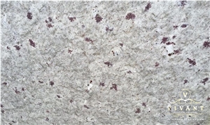 Moon White Granite Slabs & Tiles