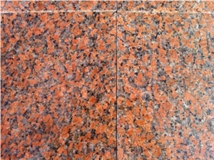 G562 Maple Red Granite Tiles,China Red Granite