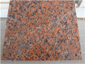 G562 Maple Red Granite Tiles,China Red Granite