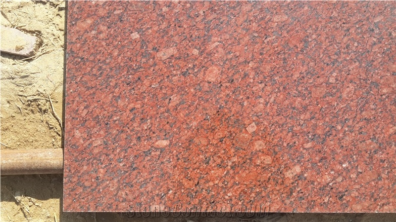Gem Red Granite Slabs & Tiles